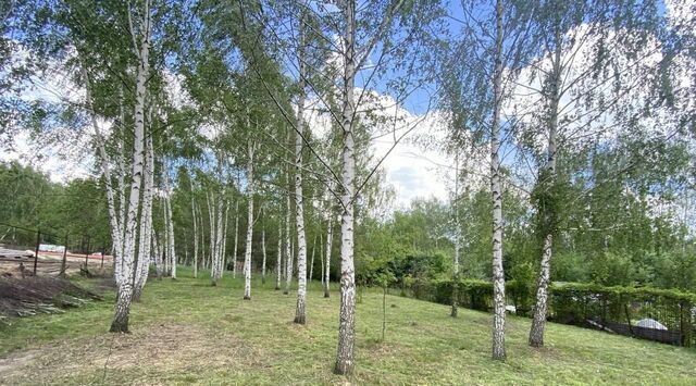 земля с Петровичи Панинское с пос фото земля с Петровичи Панинское с пос фото