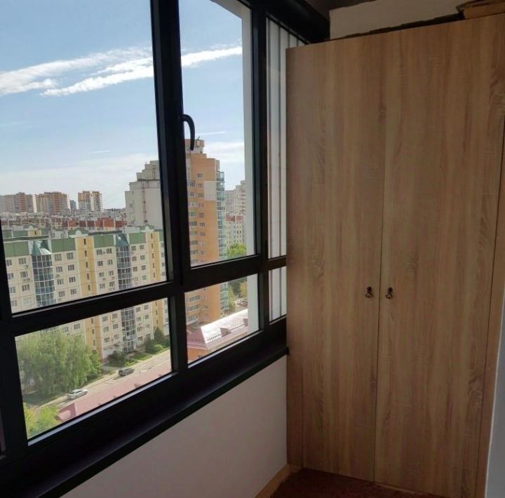 квартира г Воронеж р-н Центральный ул Загоровского 1 фото 9