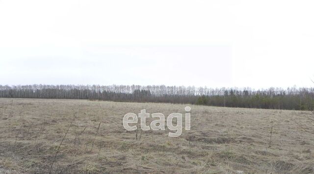 р-н Тагилстроевский ул Грунтовая фото