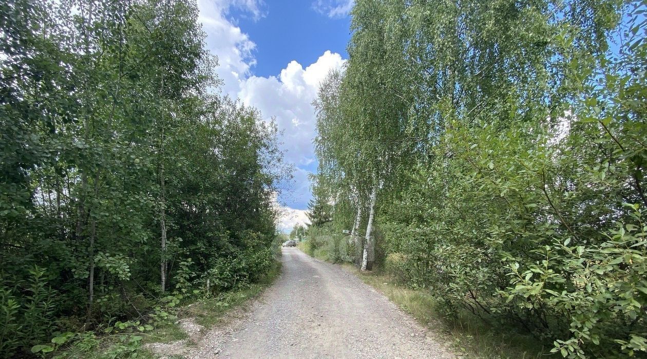 земля г Нижний Тагил р-н Тагилстроевский снт Роща ул 3-я фото 1