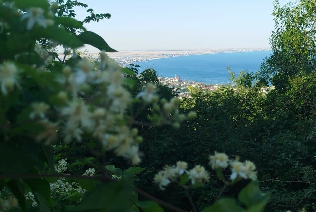 земля г Феодосия тер. ТСН Родник фото 2