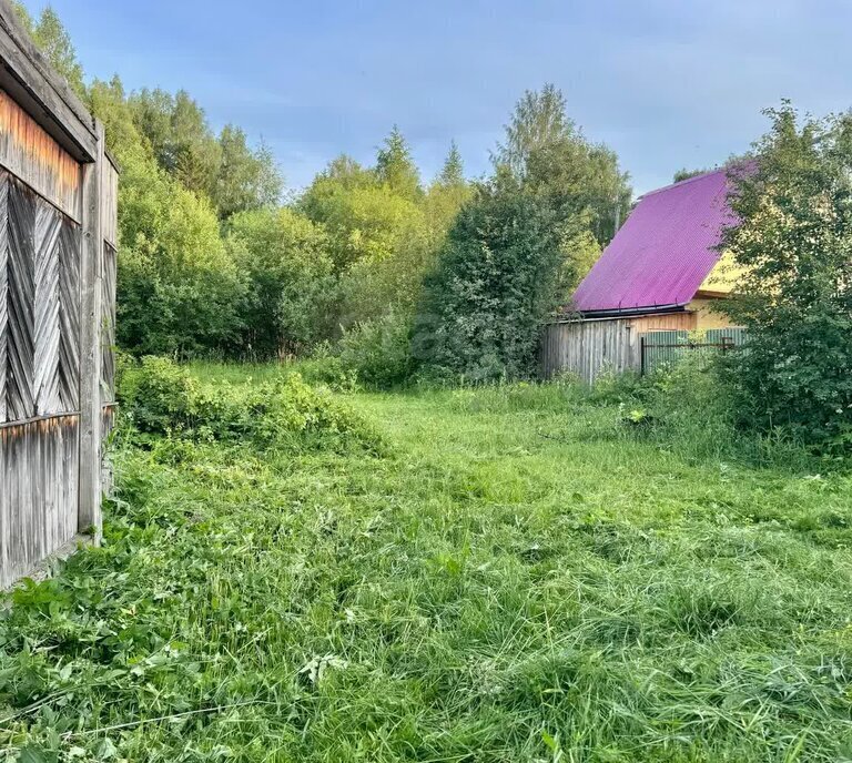 земля г Добрянка д Пеньки пер Лесной фото 3
