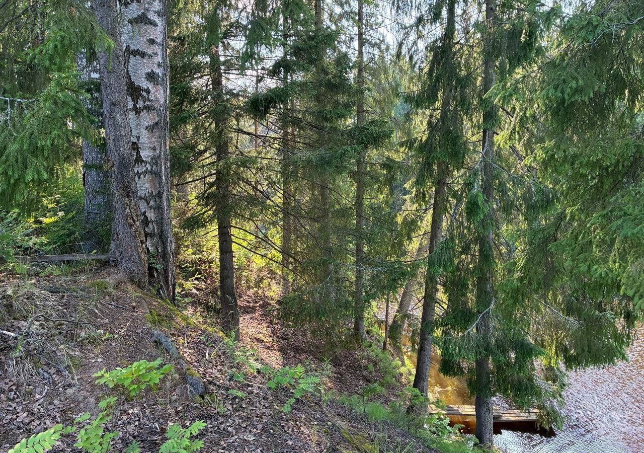 земля г Добрянка п Полазна п Камский фото 6