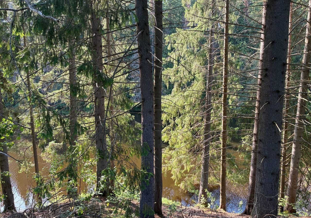 земля г Добрянка п Полазна п Камский фото 8