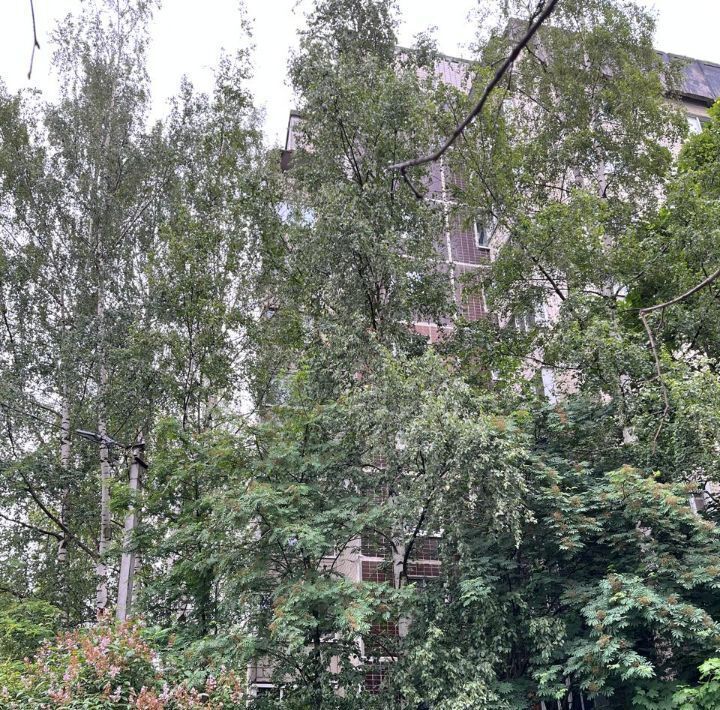 квартира р-н Всеволожский г Всеволожск ул Балашова 8/3 Ладожская фото 4