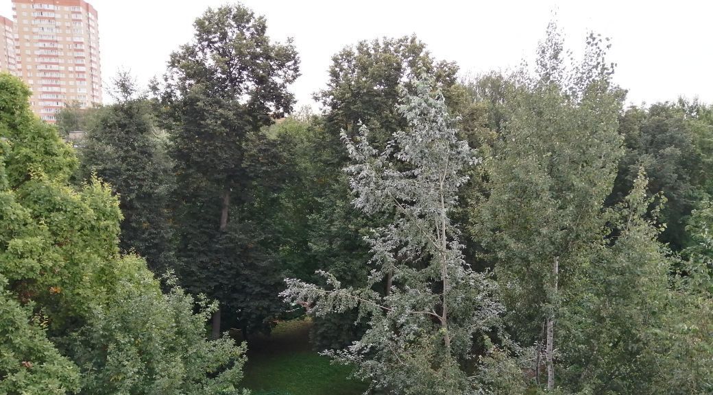 квартира г Химки ул Московская 11 Химки фото 2