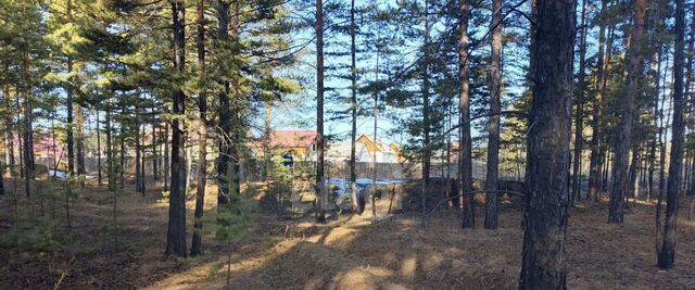 земля р-н Октябрьский Местность тх фото