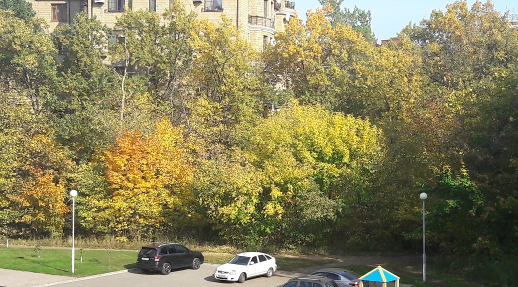 квартира г Тольятти р-н Автозаводский ул 40 лет Победы 17д фото 1