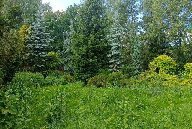снт Полушкино-2 Малаховка, 121, Раменский муниципальный округ фото