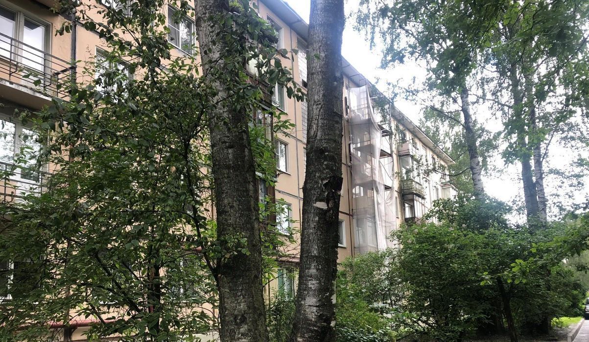 квартира г Санкт-Петербург метро Новочеркасская пр-кт Шаумяна 67 фото 11