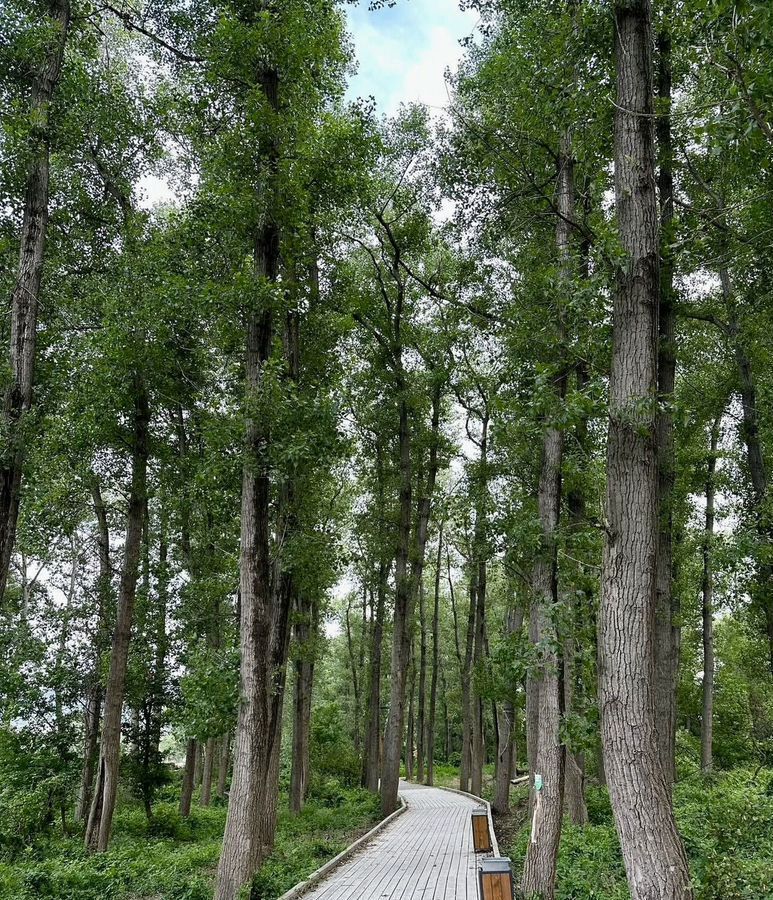 квартира г Махачкала р-н Кировский Благородная ул., 15 фото 11