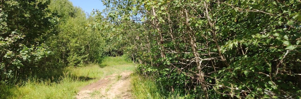 земля г Черноголовка д Старки ул Светлая фото 1