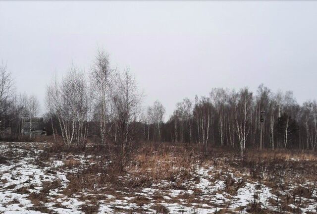 ул Устиновская 49 фото