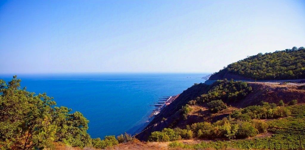 земля г Алушта с Лазурное ул Головкинского 8 фото 9