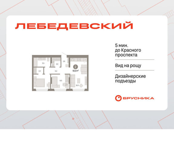 квартал № 5 Заельцовская ЖК «Лебедевский» фото