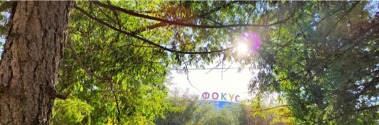 квартира г Челябинск р-н Курчатовский ул Молдавская 21а фото 18