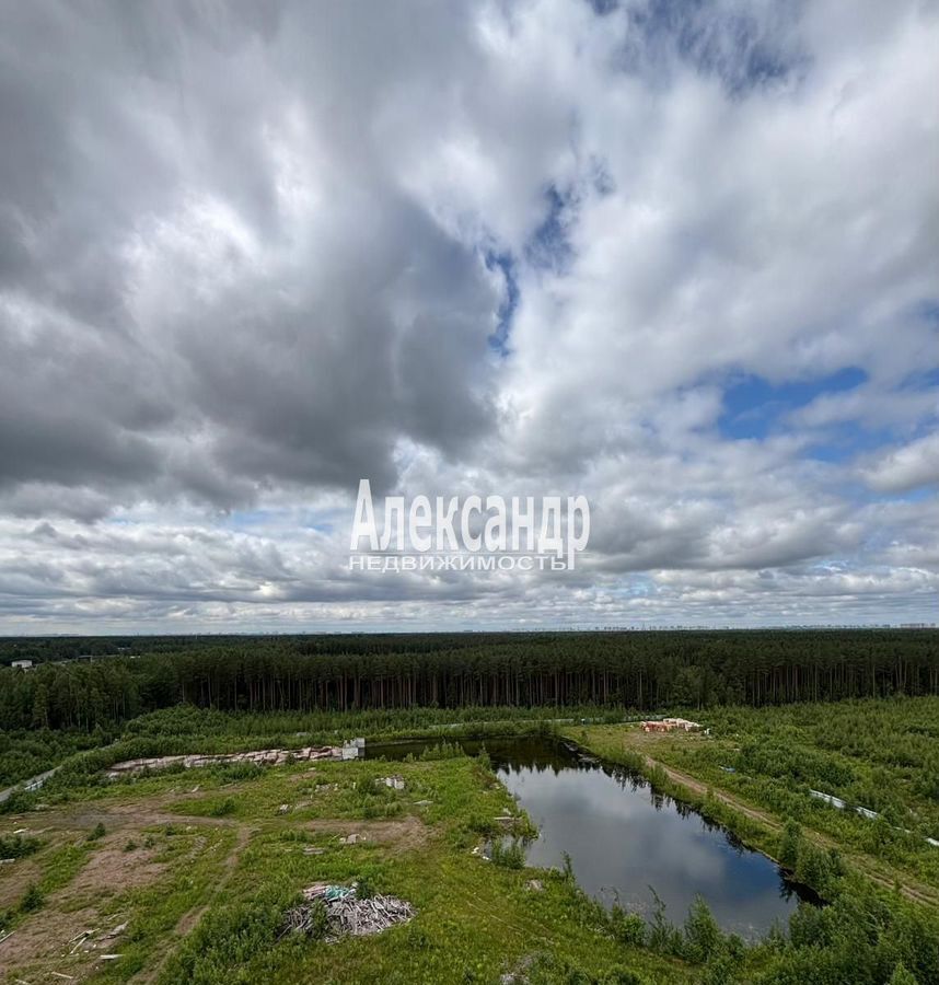 квартира р-н Всеволожский г Всеволожск ш Дорога Жизни 7к/1 Всеволожское городское поселение фото 14