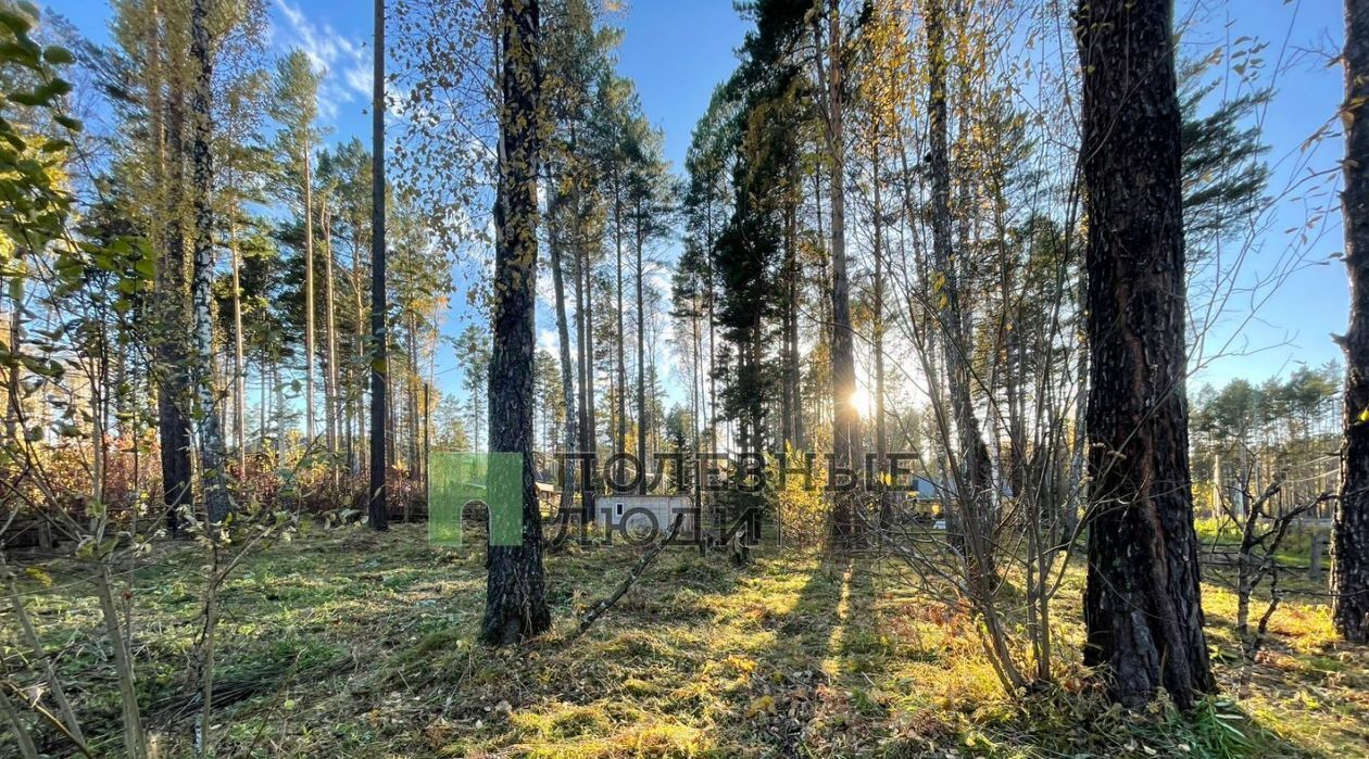 земля г Дивногорск с Овсянка фото 3