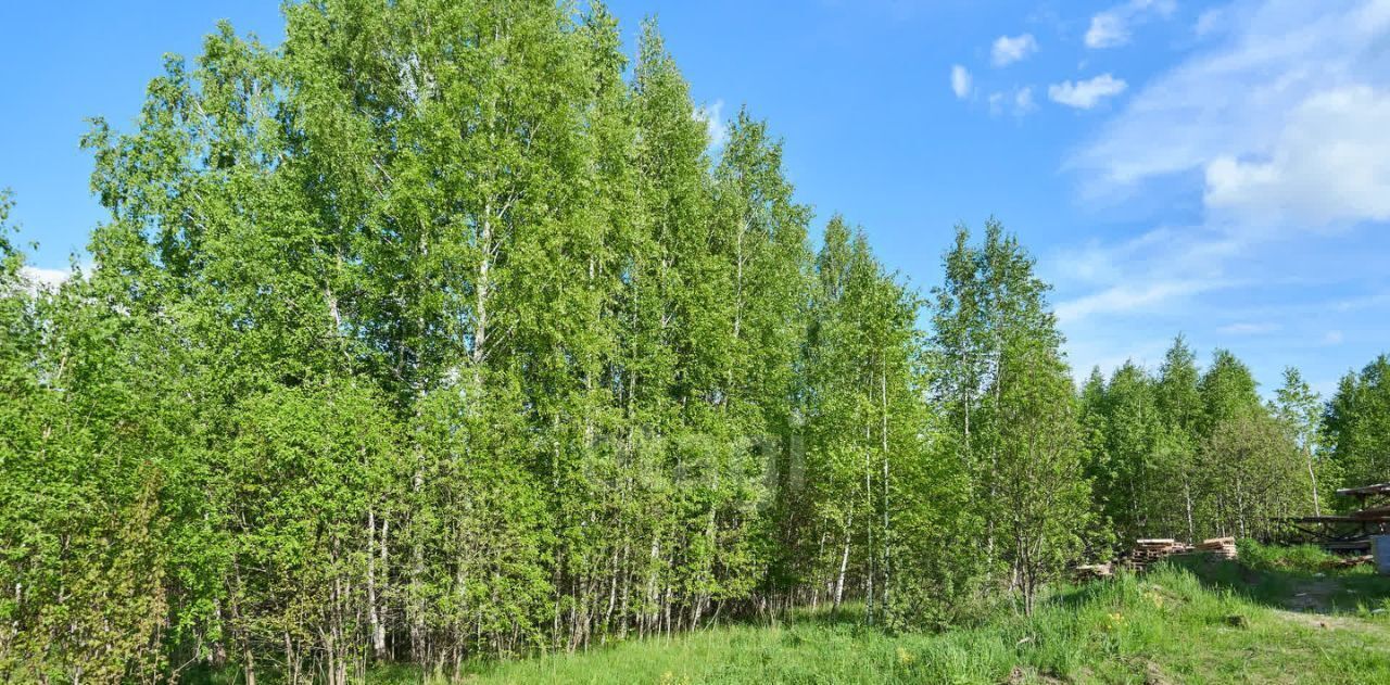 земля г Томск п Родионово ул Зеленая р-н Советский фото 8