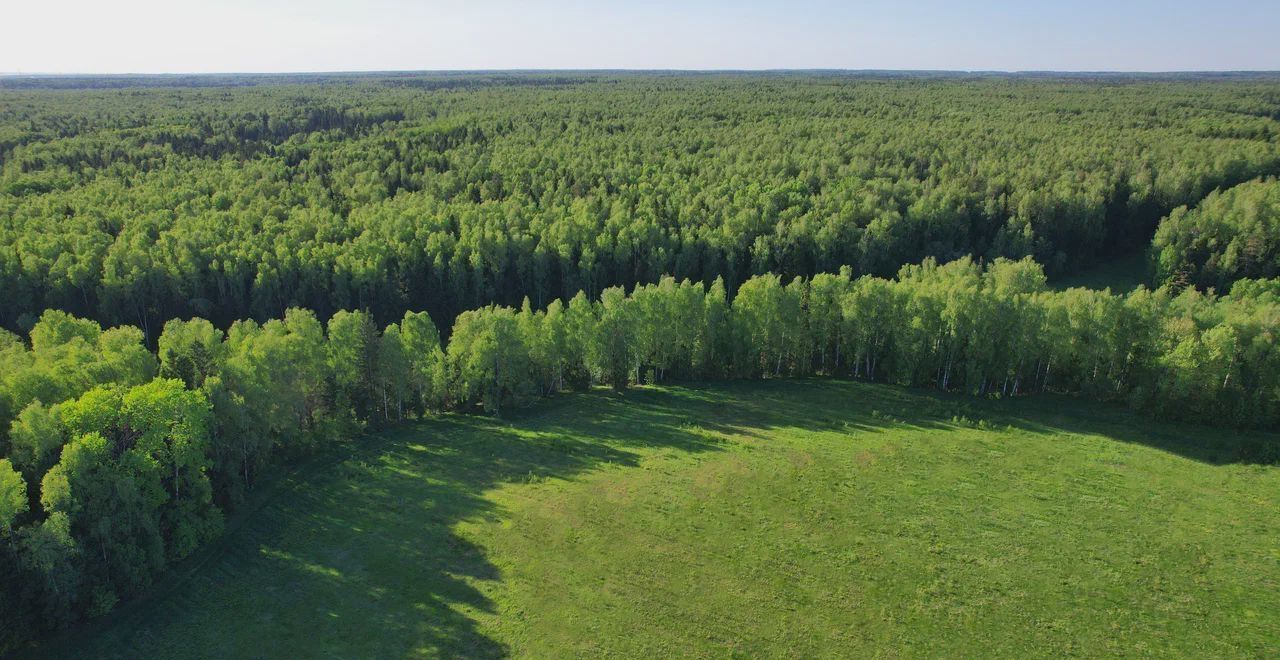 земля г Химки ул Кирова 19а 1 км, Ленинградское шоссе фото 4