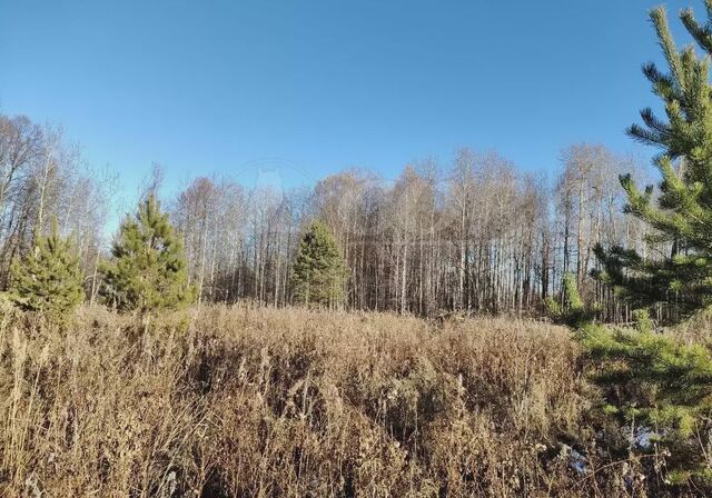 земля Каскара фото