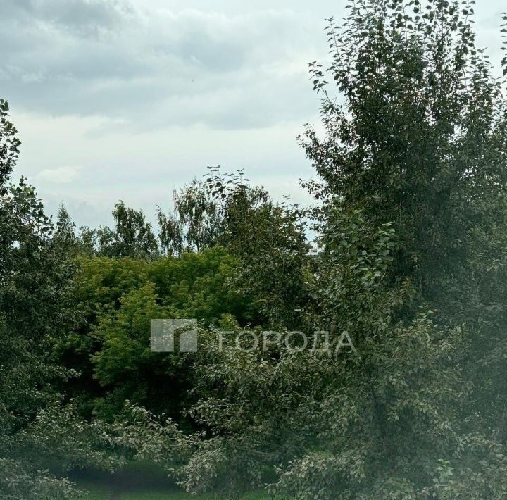 квартира г Барнаул р-н Октябрьский пр-кт Ленина 92 фото 17