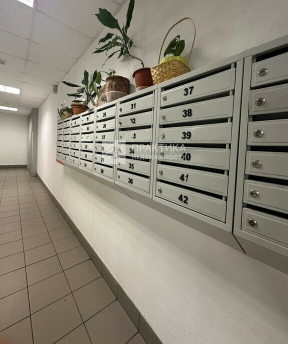 квартира г Москва метро Молодежная ул Молодогвардейская 24 муниципальный округ Кунцево фото 5