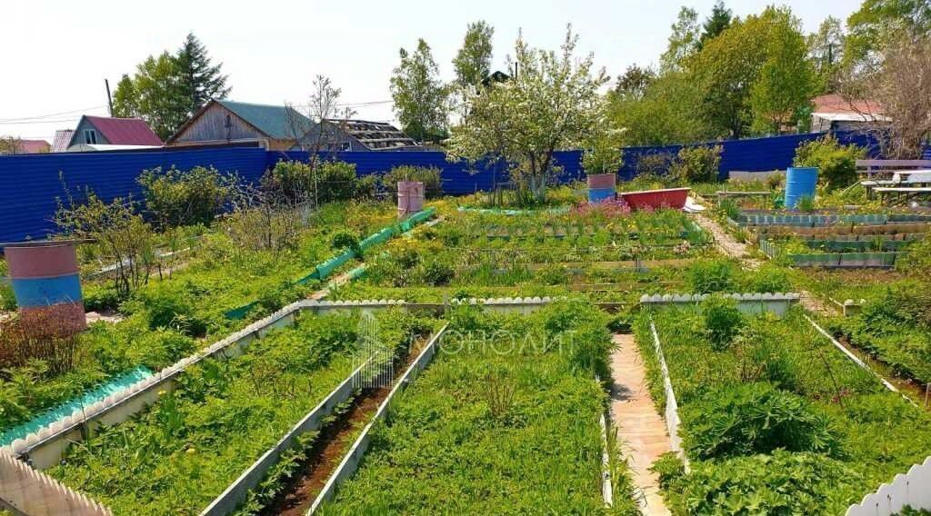 земля г Южно-Сахалинск снт Овощевод ул Малиновая 222 фото 7