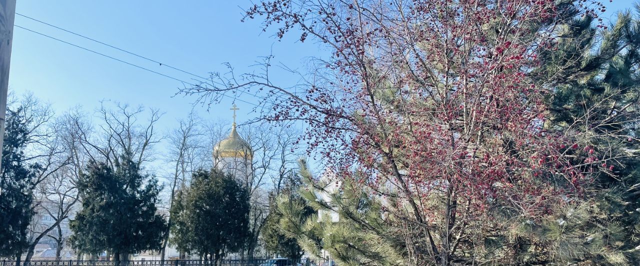 дом г Таганрог ул Бакинская фото 16
