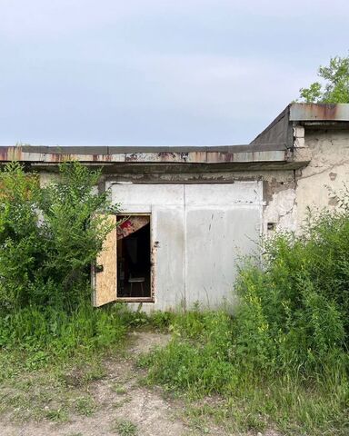 пр-кт Мира Амурский р-н фото