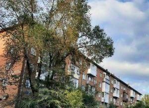 квартира г Кемерово р-н Заводский ул Сарыгина 42 фото 1