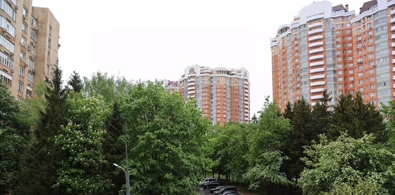 квартира г Москва метро Проспект Вернадского ул Удальцова 26 фото 12