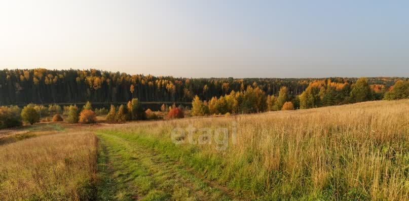 земля р-н Ельнинский г Ельня фото 4