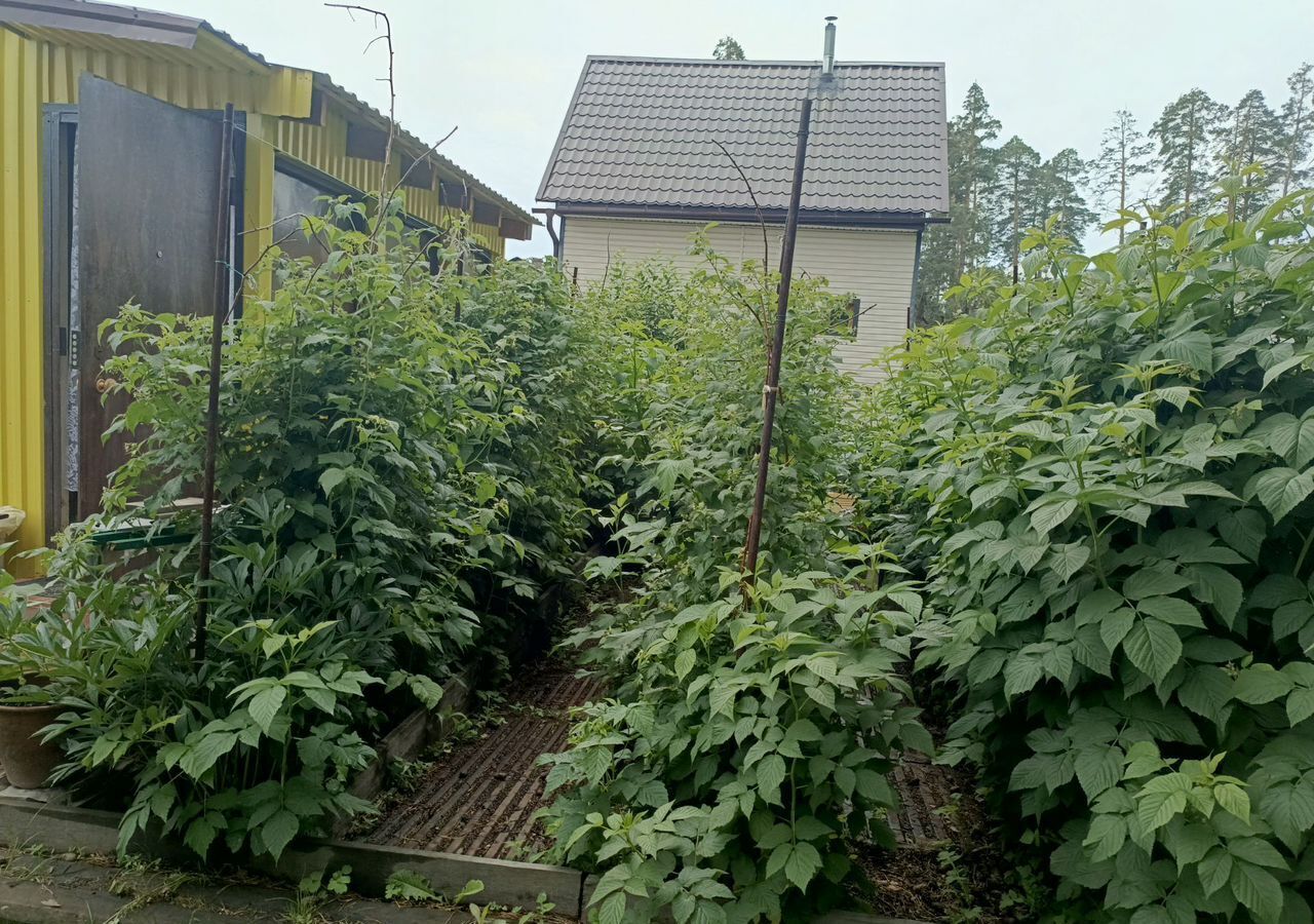 дом г Алапаевск п Асбестовский сельскохозяйственный кооператив № 2 ОАО Урал АТИ, 79, Асбест фото 7