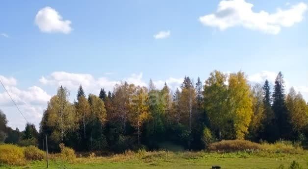 Верхнее Дуброво, дп. Малина фото