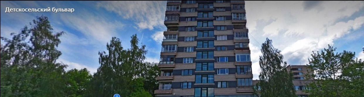 свободного назначения г Пушкин б-р Детскосельский 7 р-н Пушкинский фото 14
