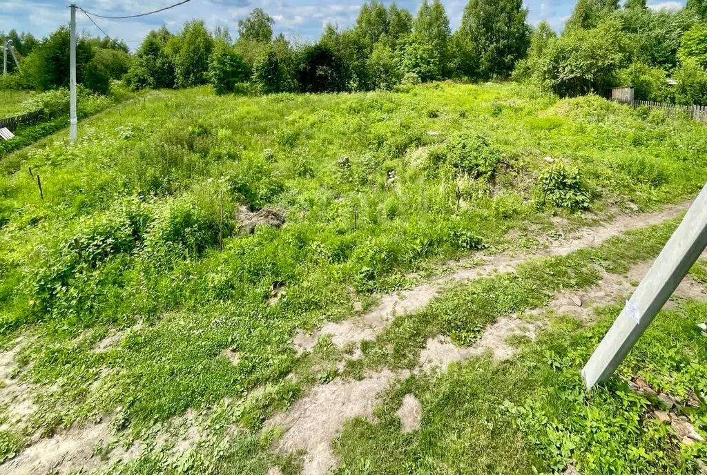 земля г Тобольск садоводческое товарищество Вымпел фото 5