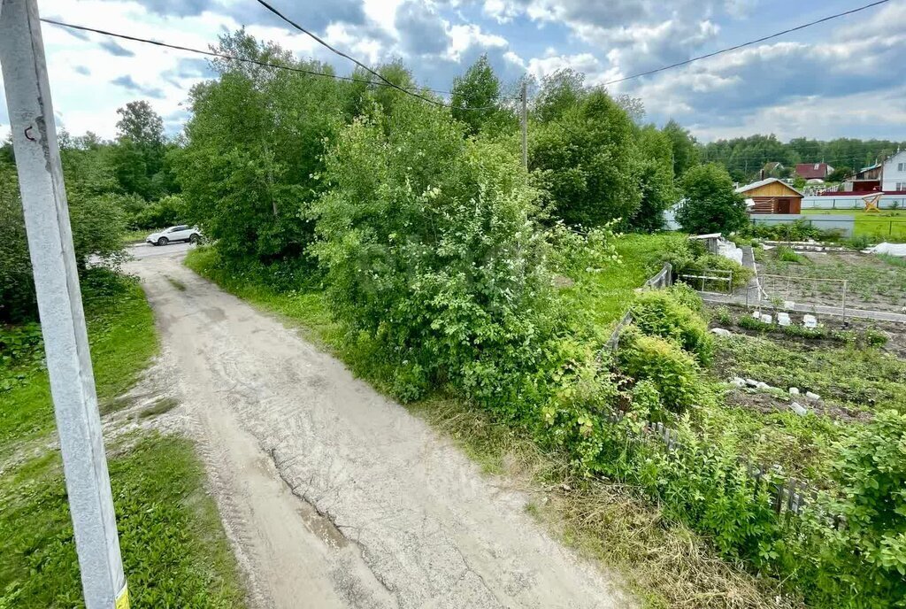 земля г Тобольск снт Лесовичек фото 3