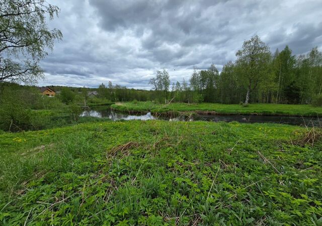 Деревянское сельское поселение, территория Урочище Лососинное, Петрозаводск фото