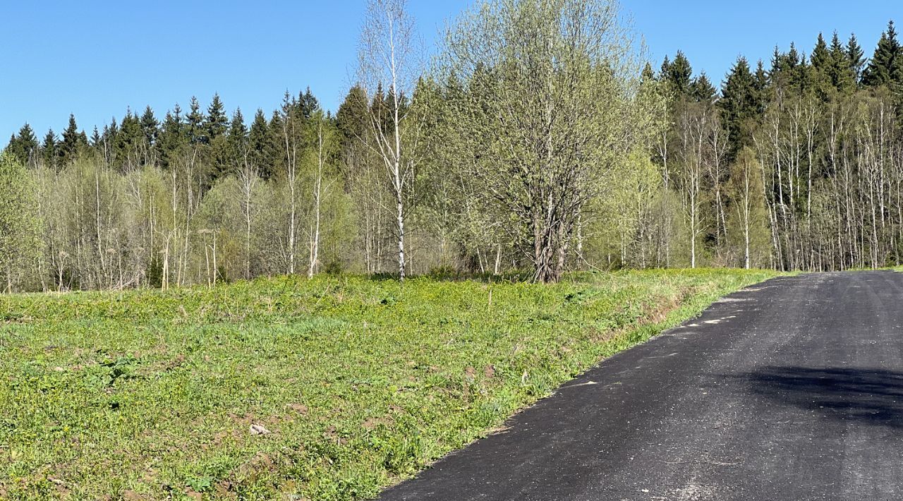 земля городской округ Сергиево-Посадский г Краснозаводск «Холмогоры» фото 9