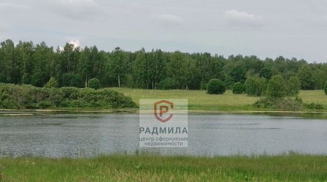д Конюхово Краснопламенское муниципальное образование фото д Конюхово Краснопламенское муниципальное образование фото