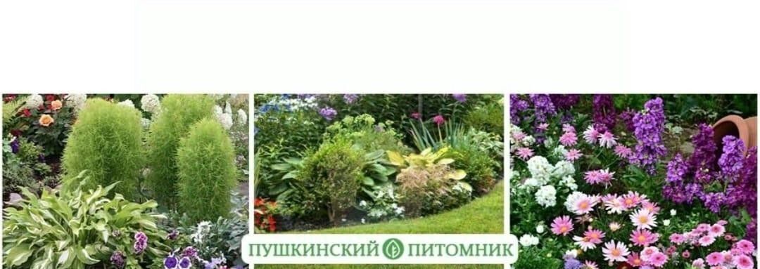 земля г Пушкино ул Краснофлотская фото 5