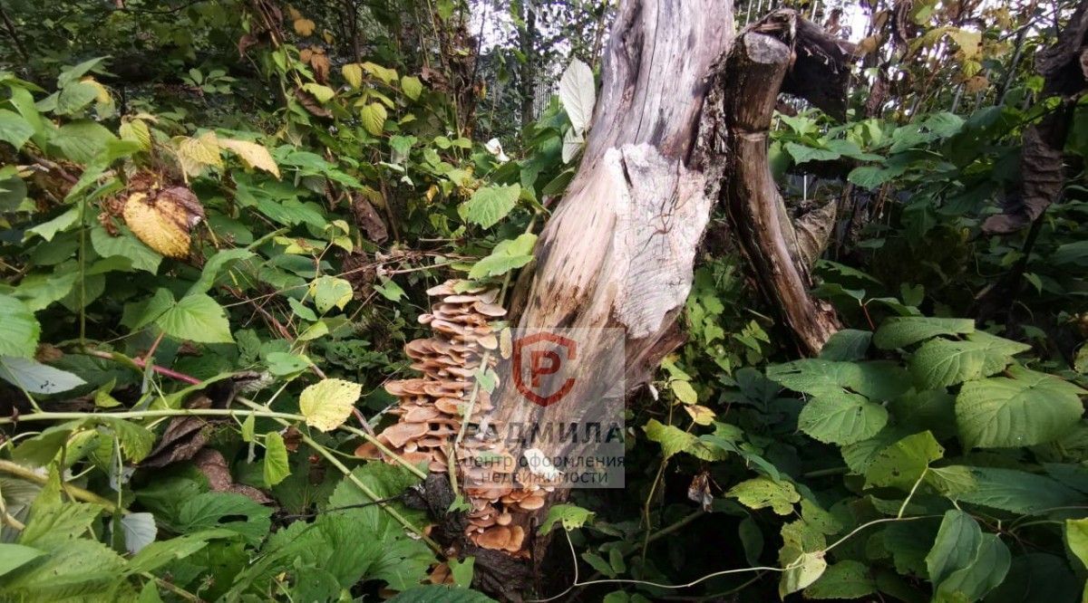дом г Сергиев Посад ул Чайковского Сергиево-Посадский городской округ фото 27