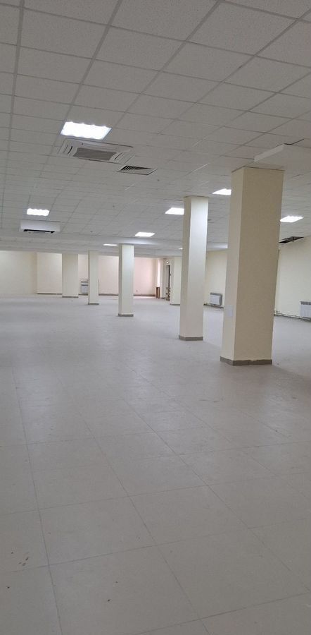 торговое помещение г Воронеж р-н Коминтерновский пр-кт Московский 97 фото 5