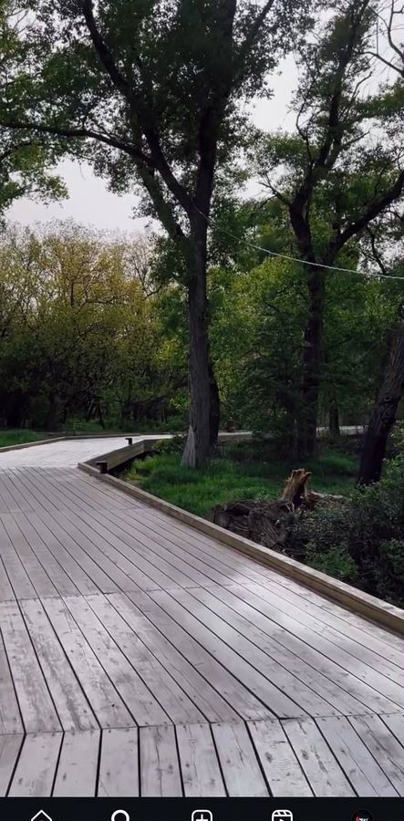 квартира г Махачкала р-н Кировский Благородная ул., 27 фото 14