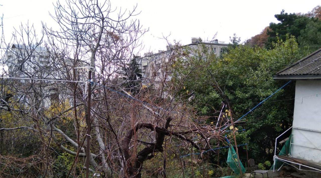 земля г Ялта пгт Гаспра фото 3