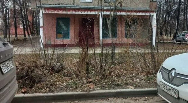 р-н Автозаводский Соцгород Парк культуры ул Лоскутова 23 фото