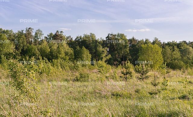 9729 км, Красногорск, Рублёво-Успенское шоссе фото