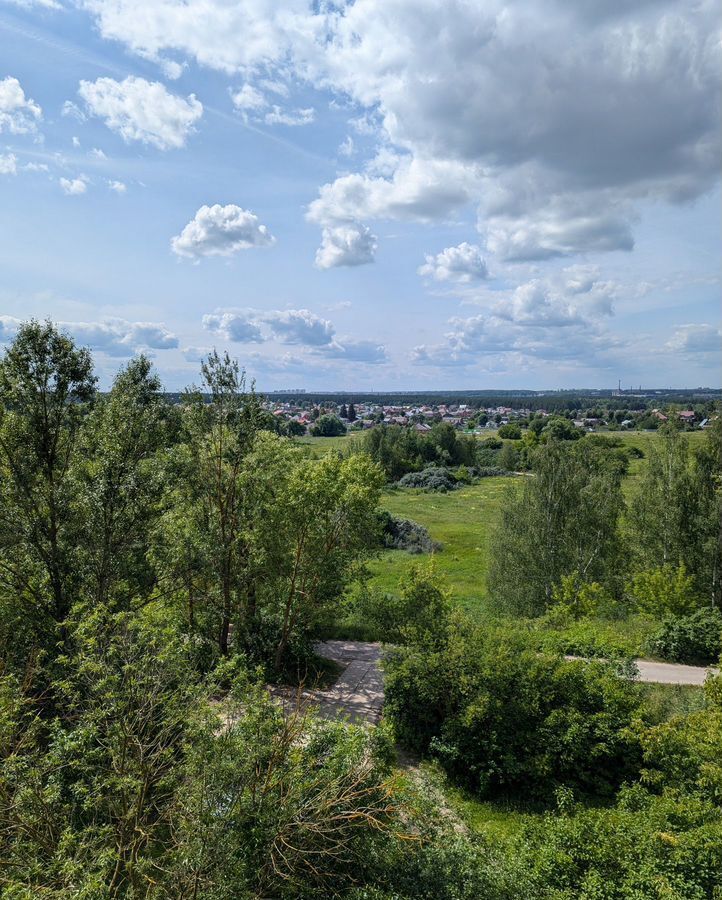 квартира г Коломна ул Юбилейная 11 фото 14