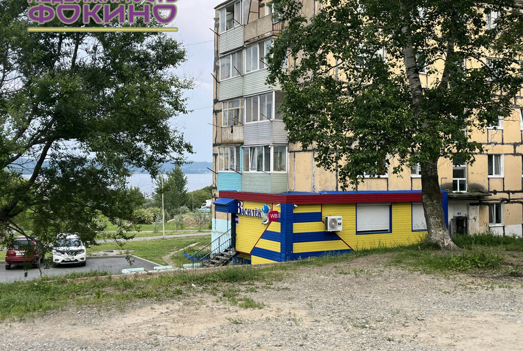 квартира г Фокино п Дунай ул Советская 6 фото 20